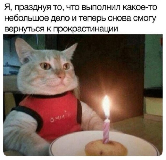 Картиночки, баянчики 16 мая