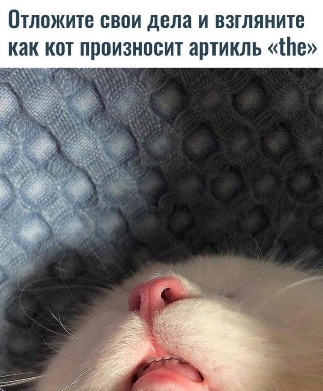 Эбокартинки с эбонадписями