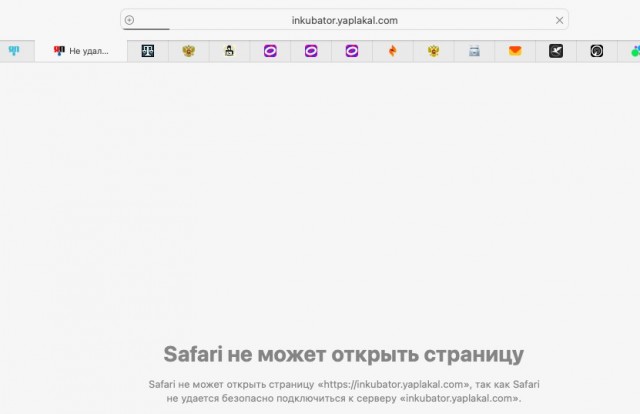 У меня одного не работает ЯП в браузере уже 3 дня?
