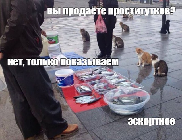 Хочу не красивых женщин в ленту!