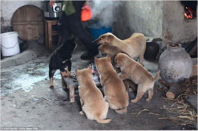 Братья.. давайте зажжем очаг! Погреемся