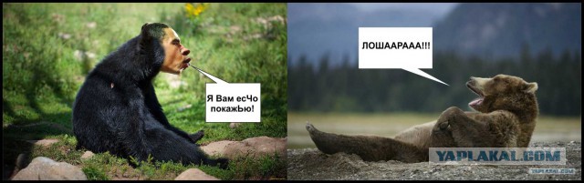 Новый мидвет!