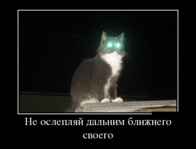 Не слепите ближнего своего