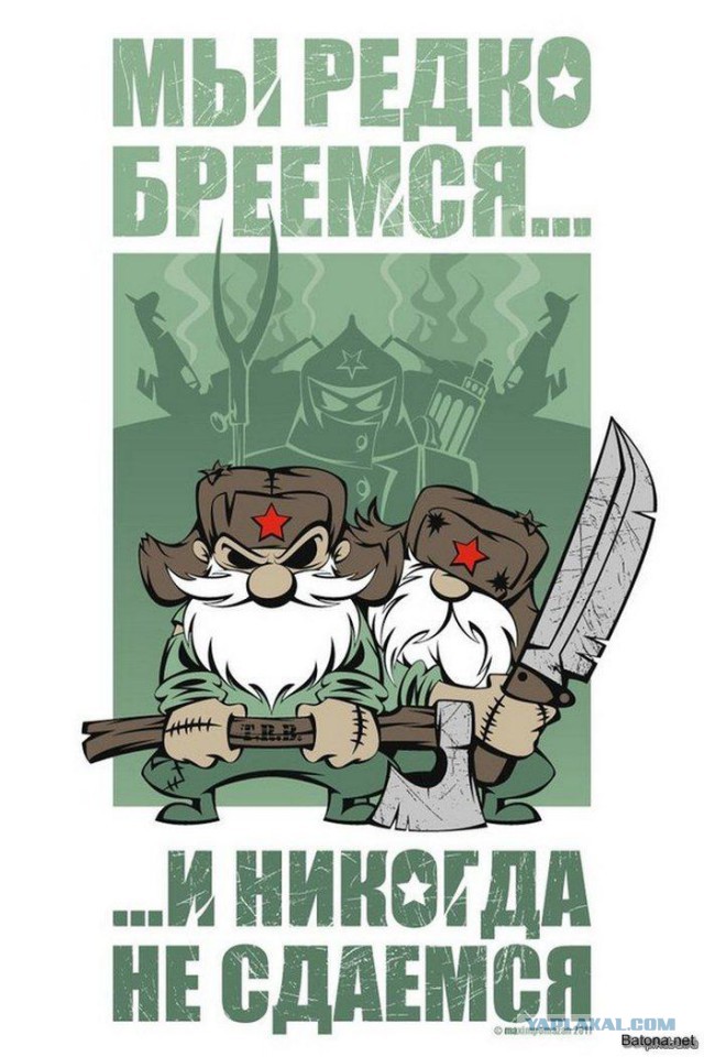 Братишки, я вам картинок принёс!