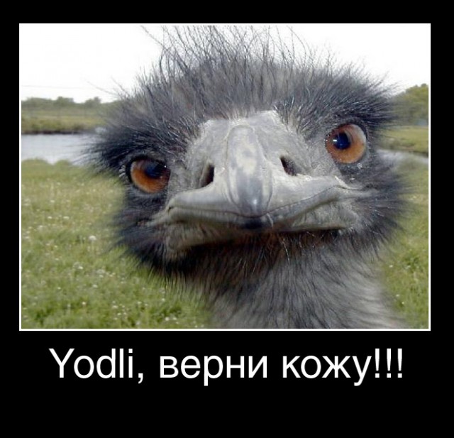 Рукоблудие со страусом.