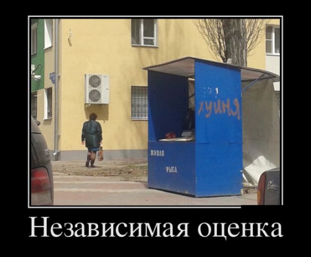 Очередные картинки