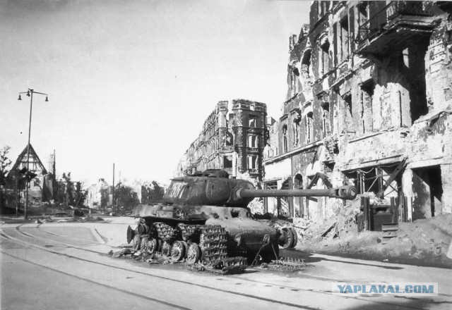 Самые трогательные фотографии войны