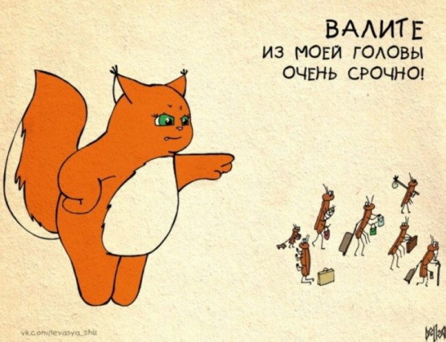 Южноафриканский деликатес
