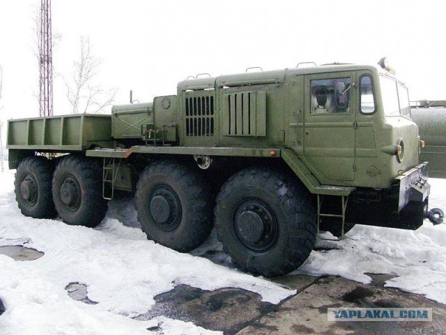 Рожденные ползать там, где другие летают