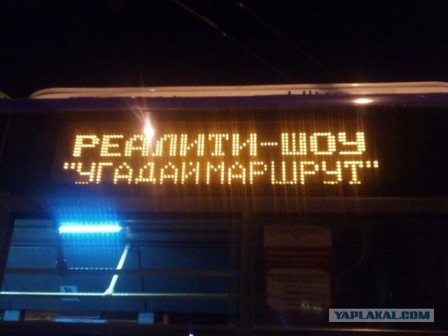 Подборка прикольных и веселых картинок