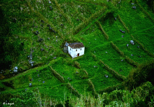 Моменты, запечатлённые на фото и просто позитив 5