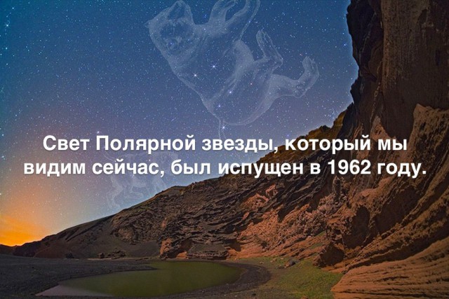 35 занимательных фактов