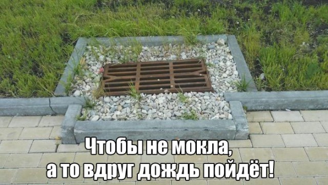 Немного картинок