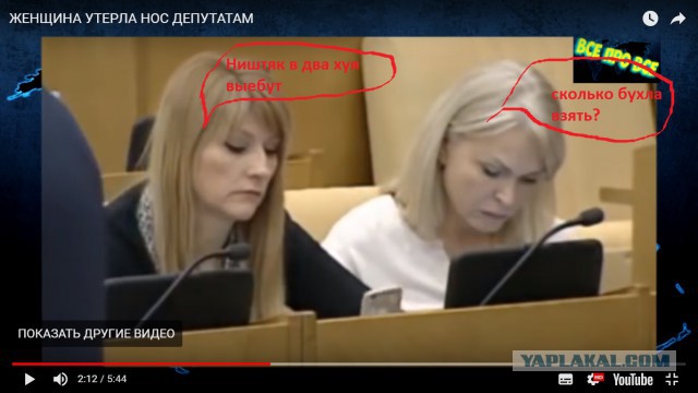 Женщина утерла нос депутатам