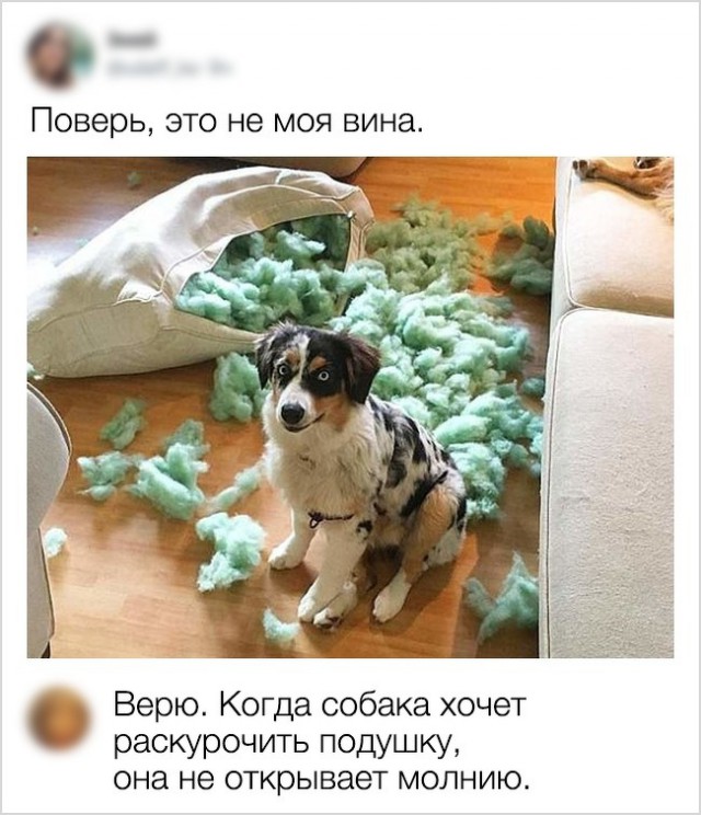 Надписи и прочие скриншоты