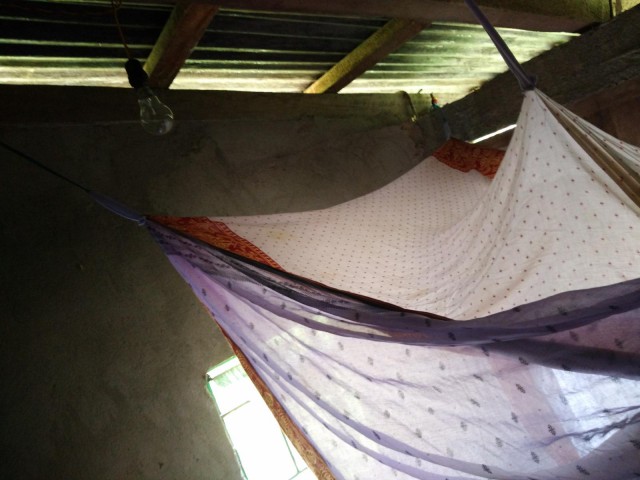 К живым мостам и обратно. Заметки из Индии