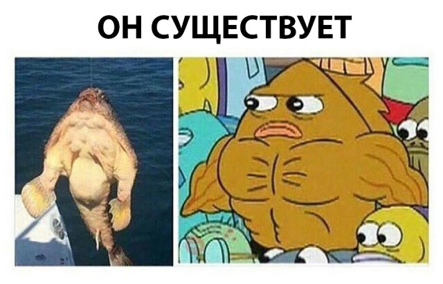 Нестандартный юмор