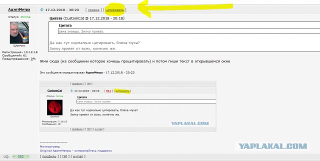 Дров не дали. Как жить бедному крестьянину?