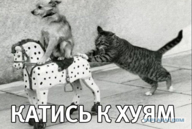 Друзья! давайте знакомиться! я -Павел Петров (Пашкетт) музыкант..