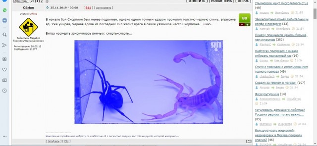 Заебал этот ЯП плеер!