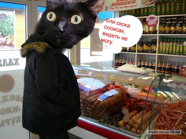 Киса хочет жабы