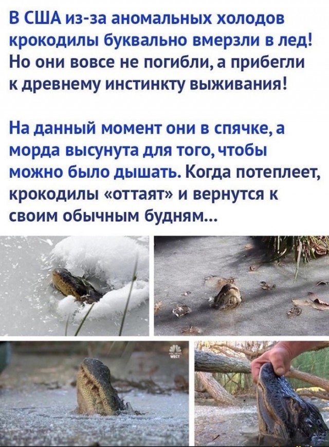 Картинки с надписями и всякие жизненные фразы