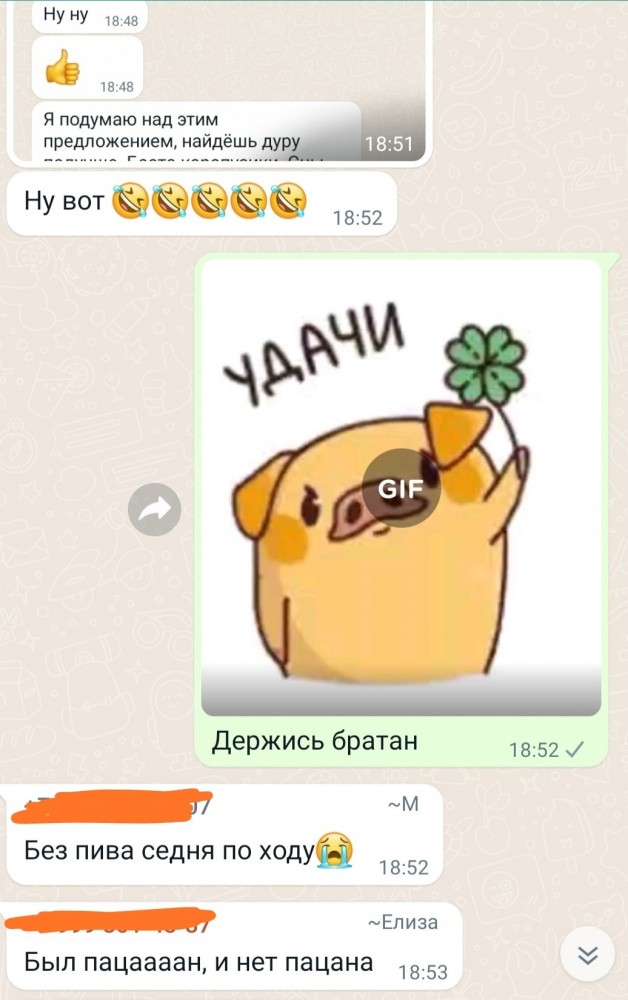 Общедомовой чат - как отдельный вид искусства