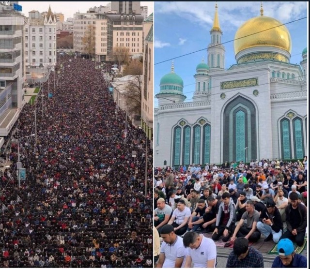 Пандемия съехавших крыш - разновидности болезни. Россия и мир. Часть 37