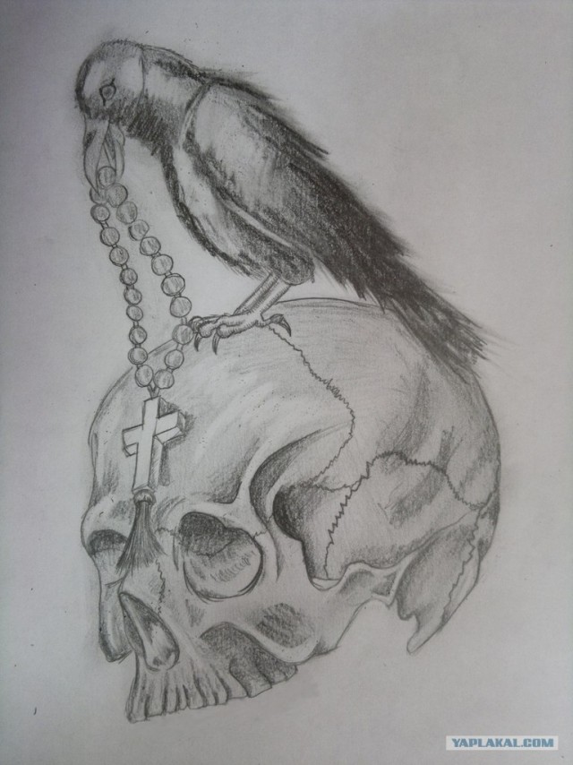 Рисуночков немного.