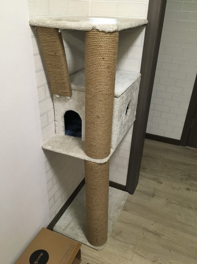 Кошкодром своими руками