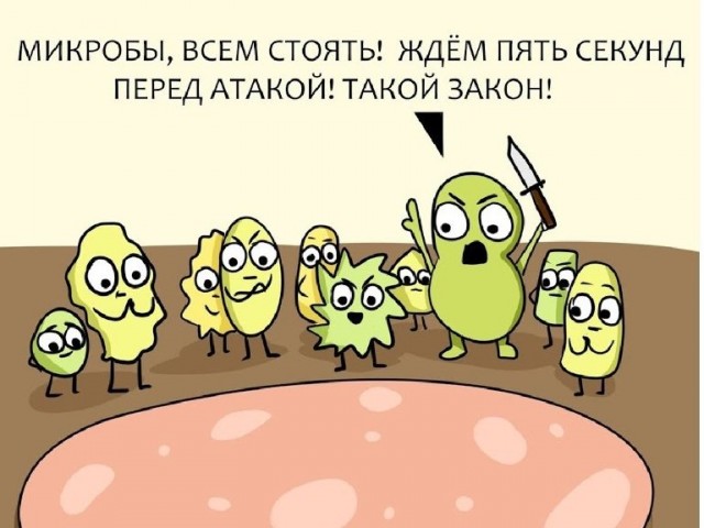 Учащиеся из колледжа в Екатеринбурге: повар собрал с грязного пола свеклу и приготовил салат.