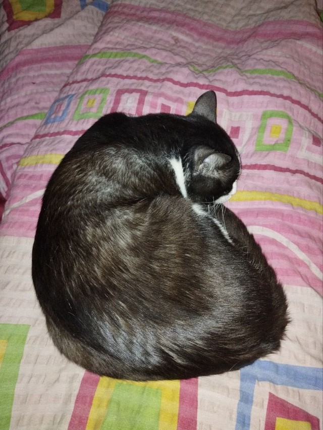 Коть, тебе нормально?