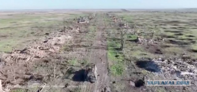 Российские военные освободили Работино в Запорожской области