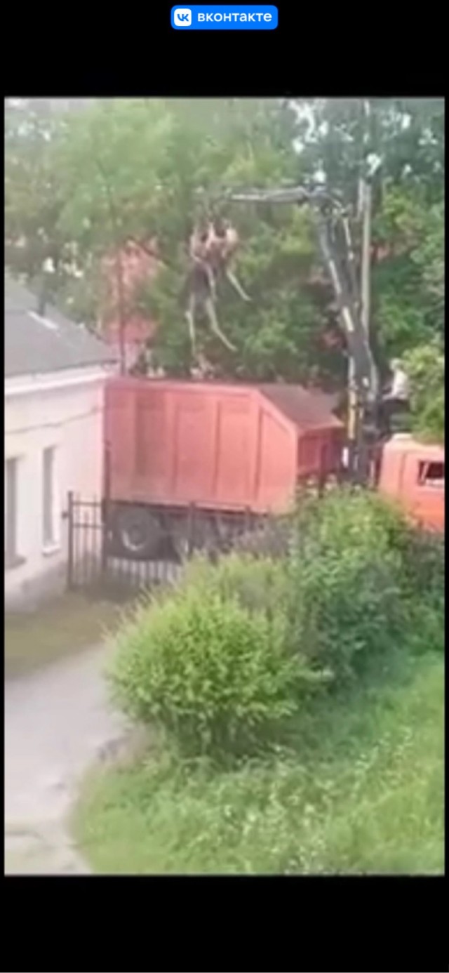 Как в Ленобласти лося из болота спасали
