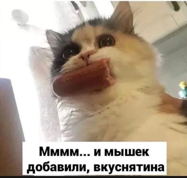 На стрёме