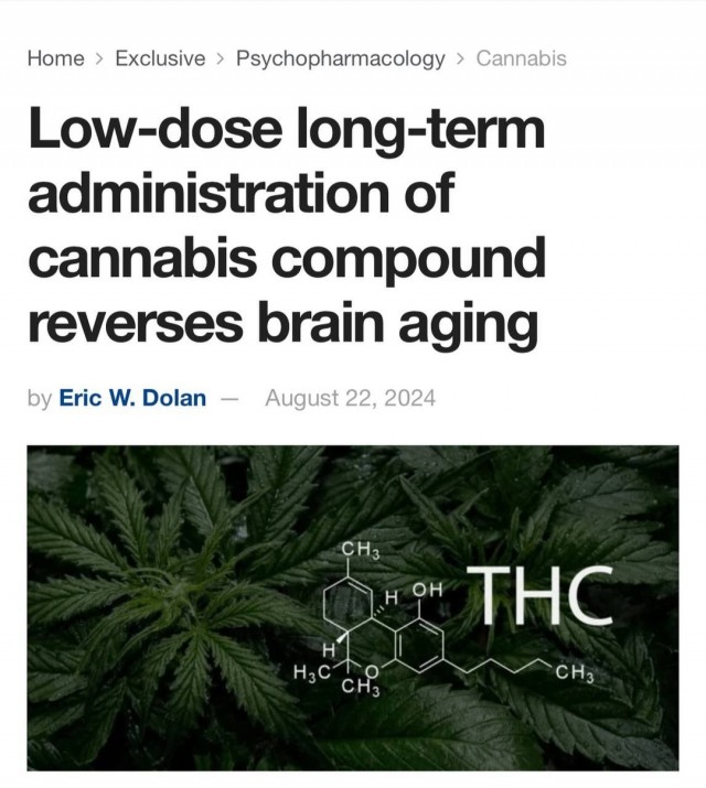 Марихуана замедляет старение и повышает умственные способности — исследование