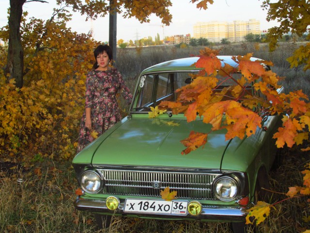 Прикольные и просто красивые картинки 04.10.2024
