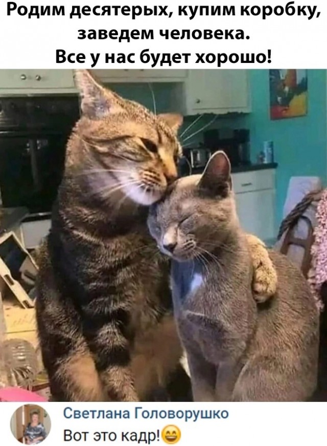 Завалялось тут случайно немного забавных картинок
