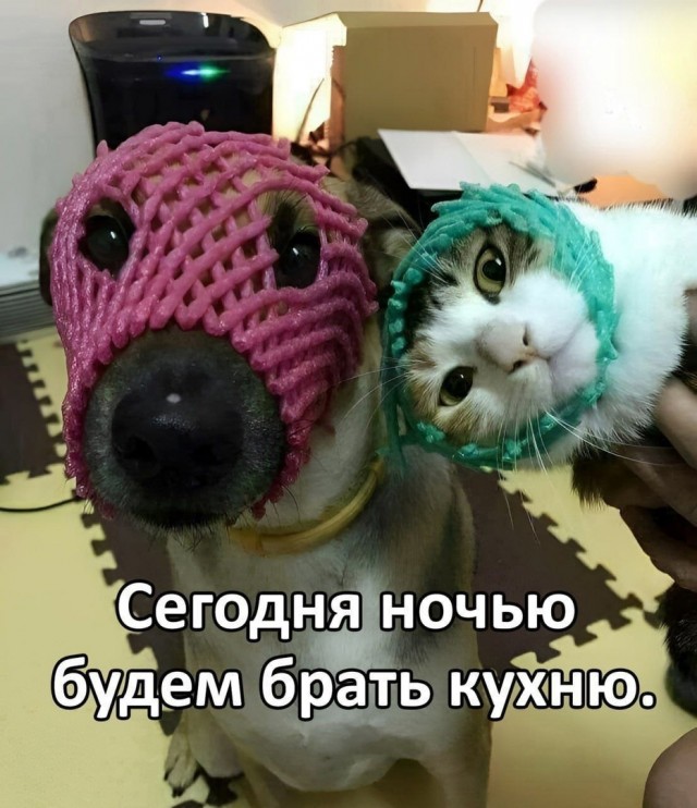 Так себе картинки 20.04.25