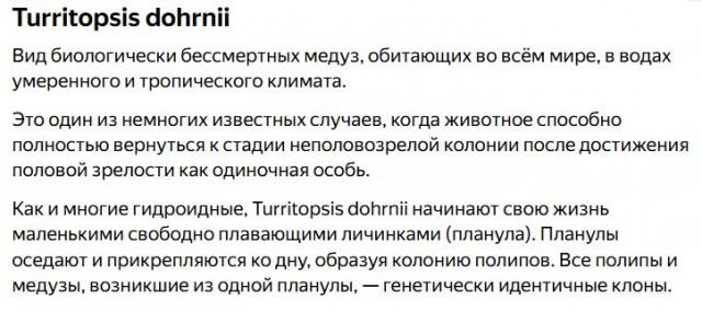 Миллионер-биохакер признался, что вместо омоложения заработал

ускоренное старение