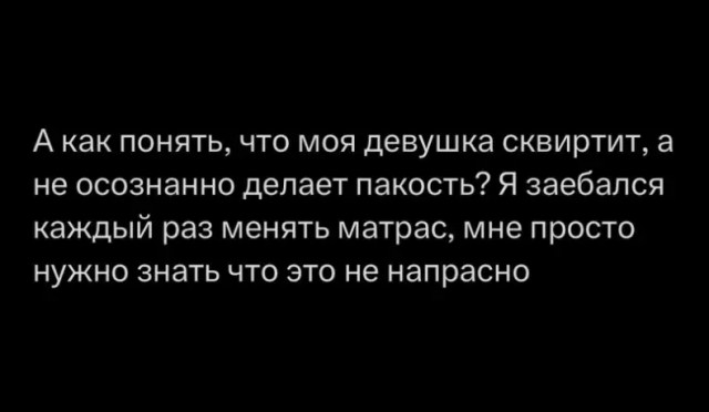 Весёлый полтишок 24.04.25