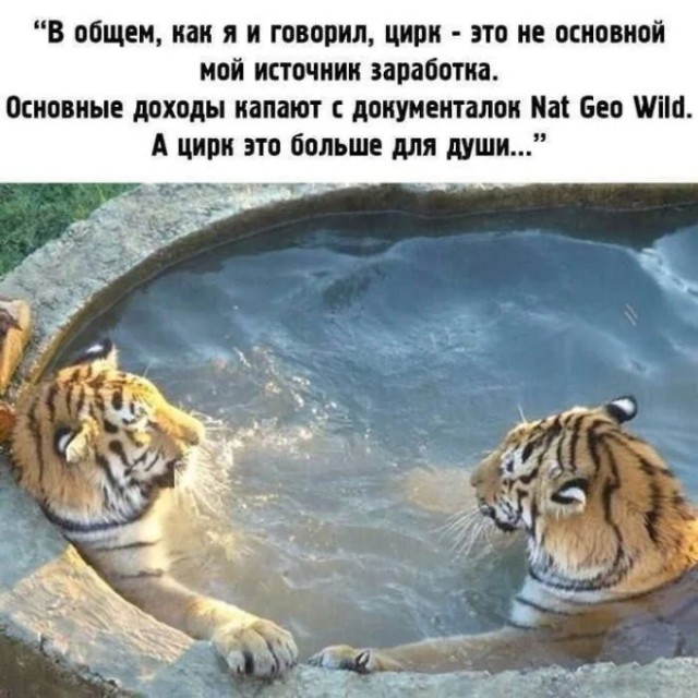 Занятные картинки с надписями в понедельник