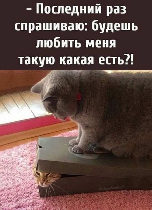 Так себе картинки 25.06.25