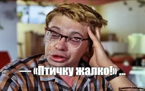 Птичку жалко...