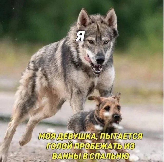 Пошлый и взрослый юмор #3