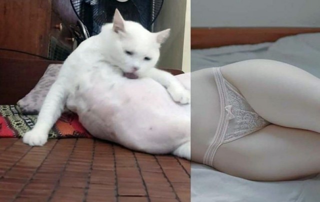 Я хожу везде пешком, будто ё*нутый мешком