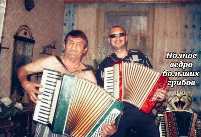 Фотожаба: Грустный котик