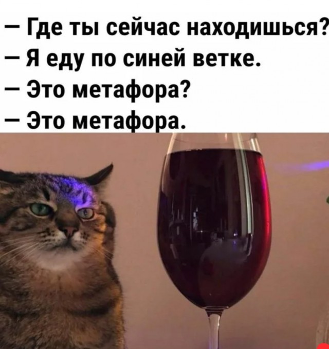 Приезжие спорят