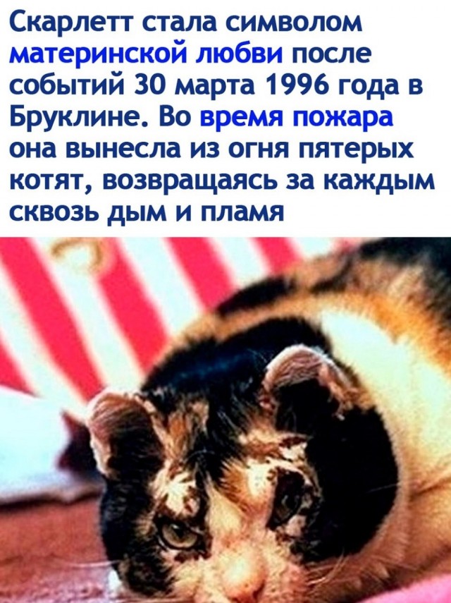 Так себе картинки 24.07.26