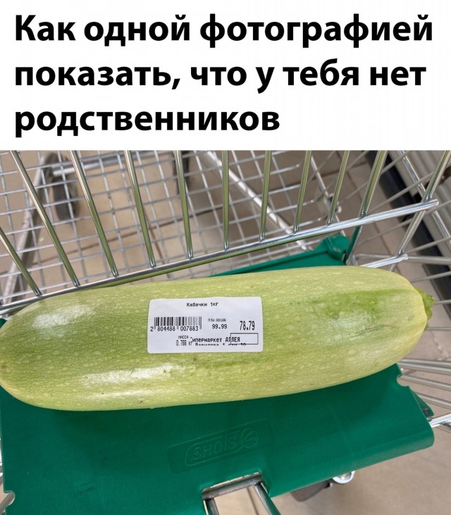 Картинки для деградации 248 (разной степени свежести)